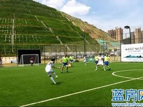 虹口足球场赛事表，绿茵场上的时间密码与城市心跳