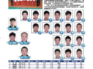 辽宁乒乓球队历届队员名单，从铁血传承到冠军摇篮的辉煌历程