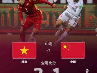 越南男足世界杯预选赛成绩，从历史突破到现实挑战