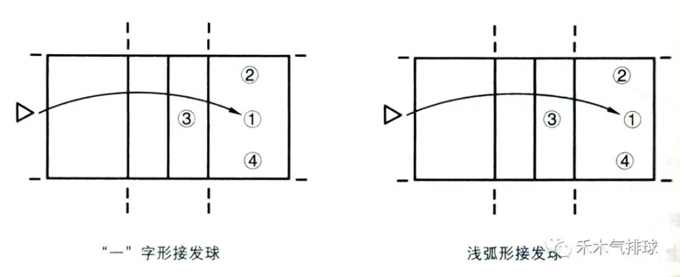 从零开始,排球发球初学者入门指南 从零开始,排球发球初学者入门指南
