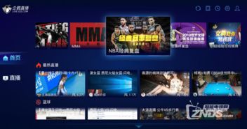 NBA免费直播高清观看,畅享顶级篮球盛宴的最佳指南 NBA免费直播高清观看,畅享顶级篮球盛宴的最佳指南