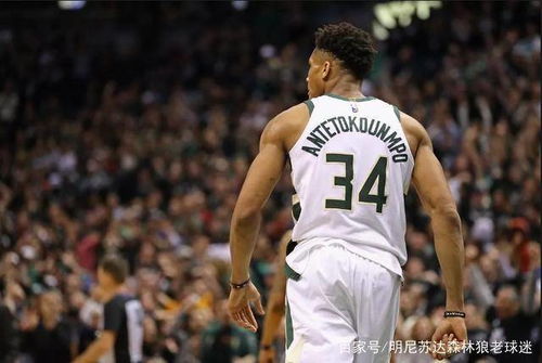 青春风暴对决，2026年NBA夏季联赛马刺VS黄蜂，新星闪耀拉斯维加斯