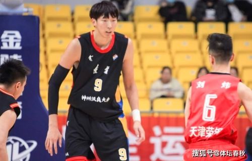 男篮王哲林个人资料身高，从天赋少年到内线巨塔的成长之路