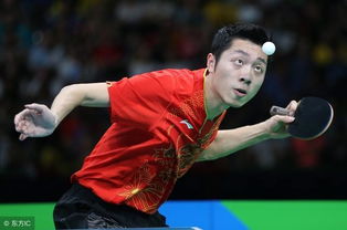 乒乓球单打规则详解，从发球到得分，一篇读懂