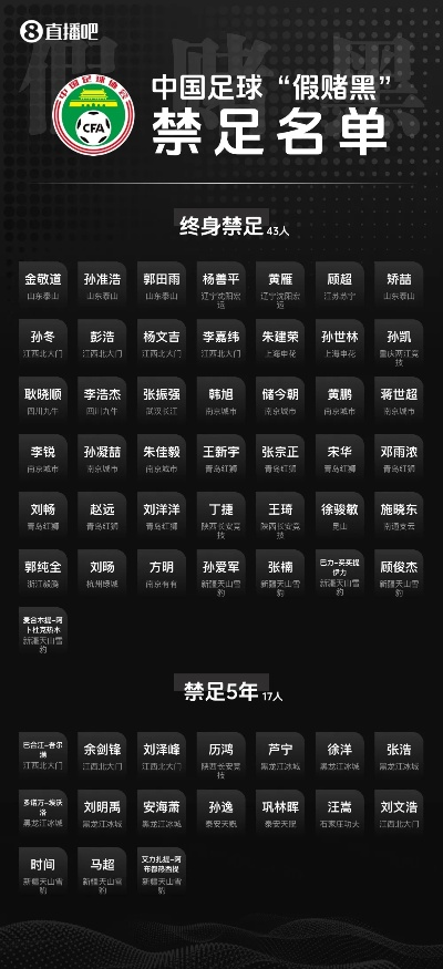 北京足球风云录，2024赛季球队球员名单全解析