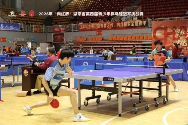 鏖战金陵，新王登基，林锐锋问鼎2026全国乒乓球锦标赛男单冠军